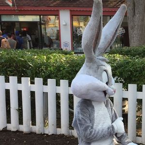 Meet your Posher, Lizzette